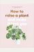 How To Raise A Plant: And Make It Love You Back