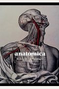 Anatomica: The Exquisite And Unsettling Art Of Human Anatomy