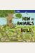 How Animals Build (Lonely Planet Kids)