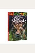 Children's Encyclopedia Of Animals