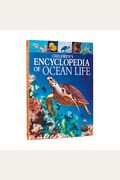 Childrens Encyclopedia Of Ocean Life