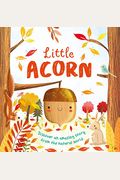 Nature Stories: Little Acorn: Padded Board Book