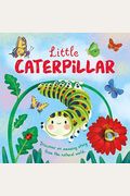 Nature Stories: Little Caterpillar: Padded Board Book