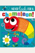 Never Look For A Chameleon!