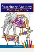Veterinary Anatomy Coloring Book: Animals Physiology Self-Quiz Color Workbook For Studying And Relaxation Perfect Gift For Vet Students And Even Adult