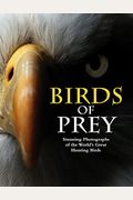 Birds Of Prey: Stunning Photographs Of The World's Great Hunting Birds