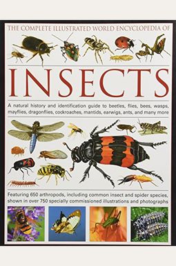 Buy The Complete Illustrated World Encyclopedia Of Insects: A Natural ...