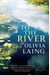 To The River: A Journey Beneath The Surface
