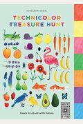 Technicolor Treasure Hunt: Learn To Count With Nature