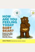 How Are You Feeling Today Baby Bear?: Exploring Big Feelings After Living In A Stormy Home