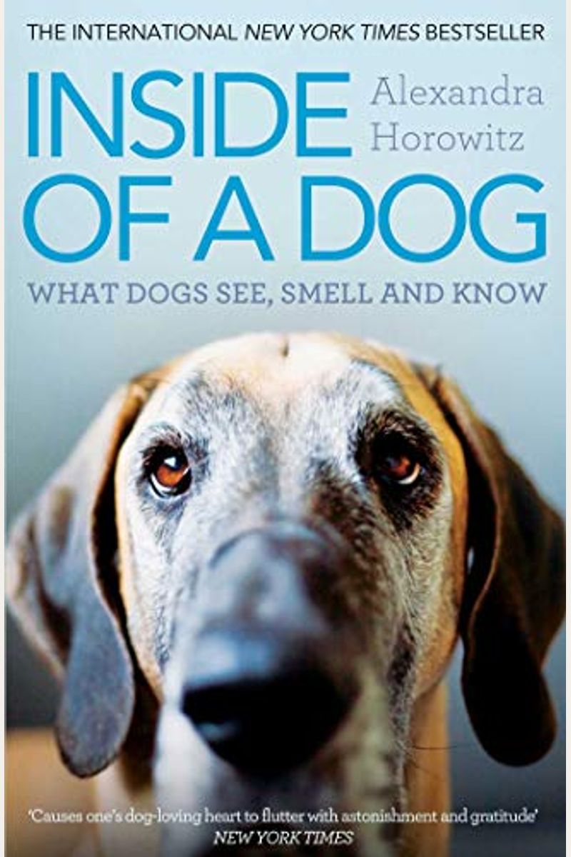 Inside Of A Dog: What Dogs See, Smell, And Know