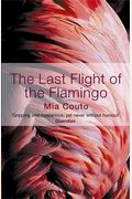The Last Flight Of The Flamingo