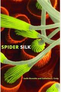 Spider Silk: Evolution and 400 Million Years of Spinning, Waiting, Snagging, and Mating