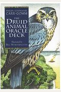 Druid Animal Oracle Deck: Working With The Sacred Animals Of The Druid Tradition