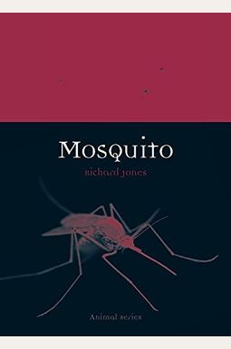 Mosquito (Animal) Mosquito (Animal)