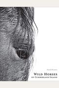 Wild Horses Of Cumberland Island