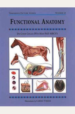 Functional Anatomy: Threshold Picture Guide No 43 Functional Anatomy: Threshold Picture Guide No 43