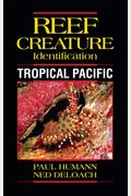 Tropical Pacific