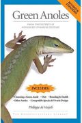 Green Anoles: From The Experts At Advanced Vivarium Systems