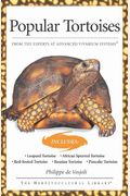Popular Tortoises: From The Experts At Advanced Vivarium Systems