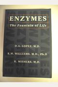 Enzymes: The Fountain Of Life