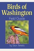 Birds Of Washington Field Guide