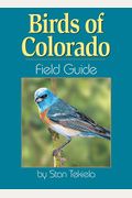 Birds Of Colorado Field Guide