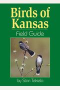 Birds Of Kansas Field Guide