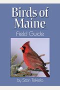 Birds of Maine Field Guide