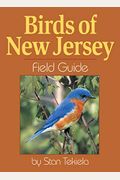 Birds Of New Jersey Field Guide