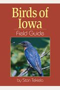 Birds Of Iowa Field Guide