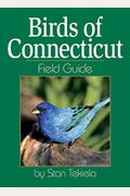 Birds Of Connecticut Field Guide
