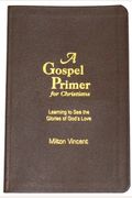 A Gospel Primer For Christians: Learning To See The Glories Of God's Love