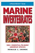 Marine Invertebrates: 500+ Essential-To-Know Aquarium Species