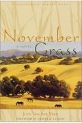 November Grass