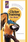 Clicker Training For Birds