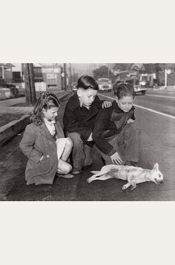 Local News: Tabloid Pictures from the Los Angeles Herald Express 1936 to 1961 Local News: Tabloid Pictures from the Los Angeles Herald Express 1936 to 1961
