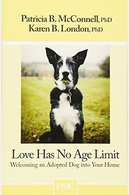 Love Has No Age Limit: Welcoming An Adopted Dog Into Your Home Love Has No Age Limit: Welcoming An Adopted Dog Into Your Home
