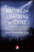 Waiting for Lightning to Strike: The Fundamentals of Black Politics