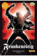 Frankenstein: The Graphic Novel (British English, Original Text Edition)