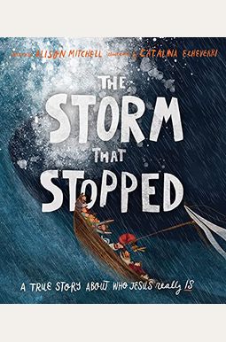 The Storm That Stopped Storybook: A True Story About Who Jesus Really Is The Storm That Stopped Storybook: A True Story About Who Jesus Really Is