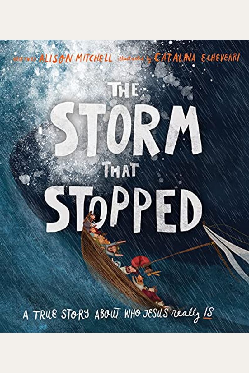 The Storm That Stopped Storybook: A True Story About Who Jesus Really Is