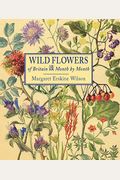 Wild Flowers Of Britain: Month By Month