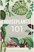 Houseplants 101: How To Choose, Style, Grow And Nurture Your Indoor Plants