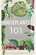Houseplants 101: How To Choose, Style, Grow And Nurture Your Indoor Plants.