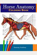 Horse Anatomy Coloring Book: Incredibly Detailed Self-Test Equine Anatomy Color Workbook Perfect Gift For Veterinary Students, Horse Lovers & Adult