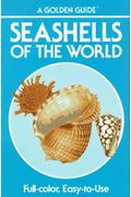 Seashells Of World