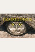 A Celebration Of Prairie Birds