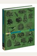 Nature Walk Journal