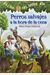 Perros Salvajes A La Hora De La Cena (Dingoes At Dinnertime) (Turtleback School & Library Binding Edition) (Magic Tree House) (Spanish Edition)